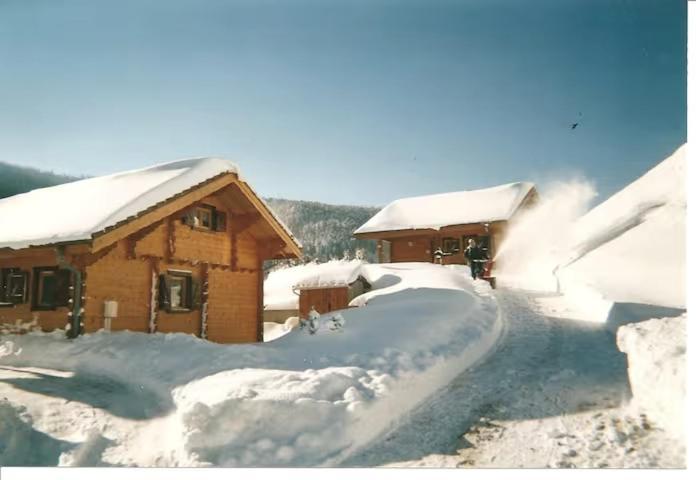 Le "Chalet De Minette" 2 Etoiles ラ・ブレス エクステリア 写真