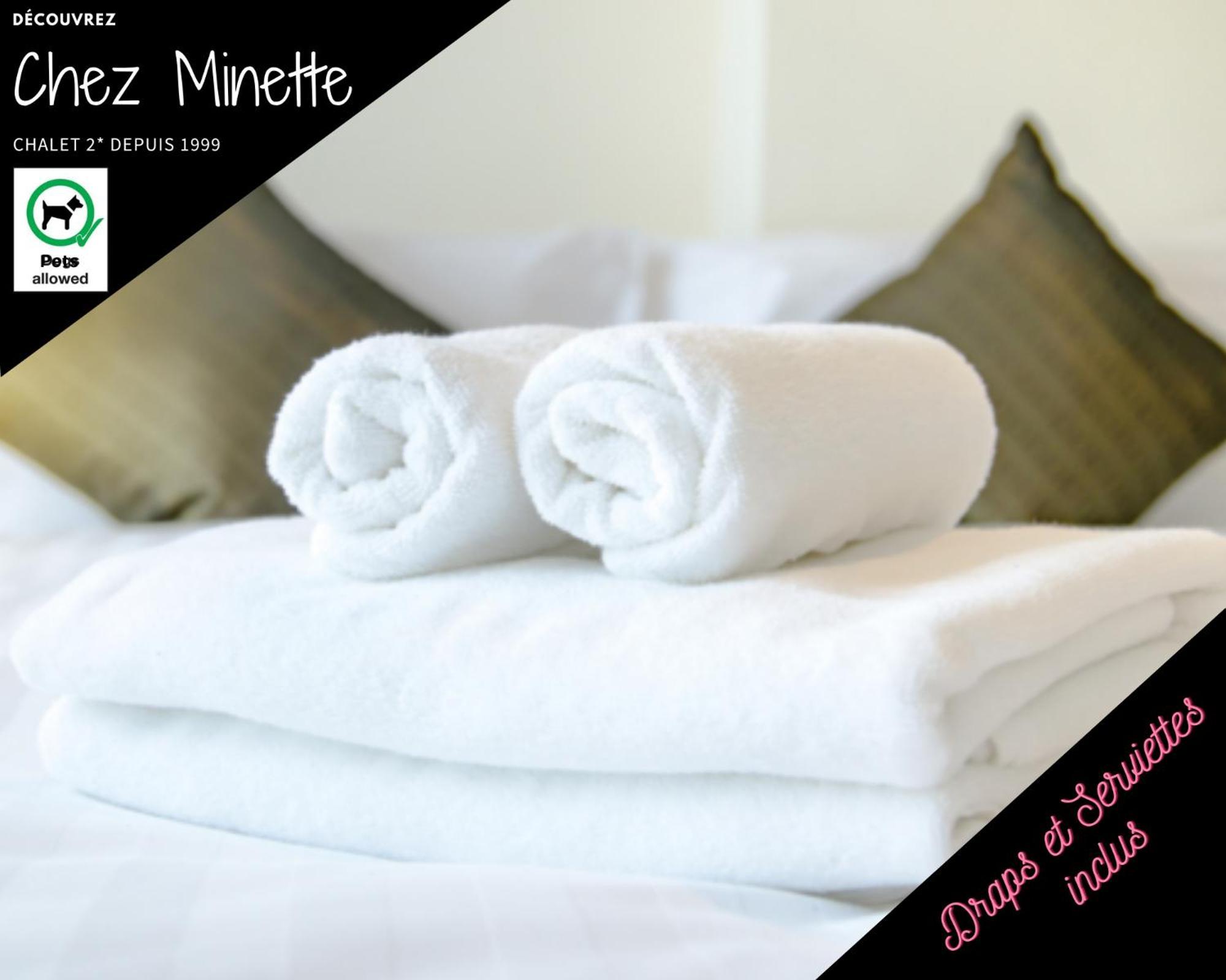 Le "Chalet De Minette" 2 Etoiles ラ・ブレス エクステリア 写真