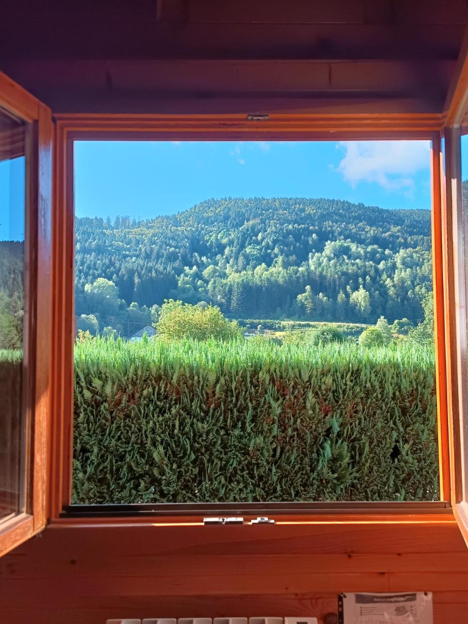 Le "Chalet De Minette" 2 Etoiles ラ・ブレス エクステリア 写真